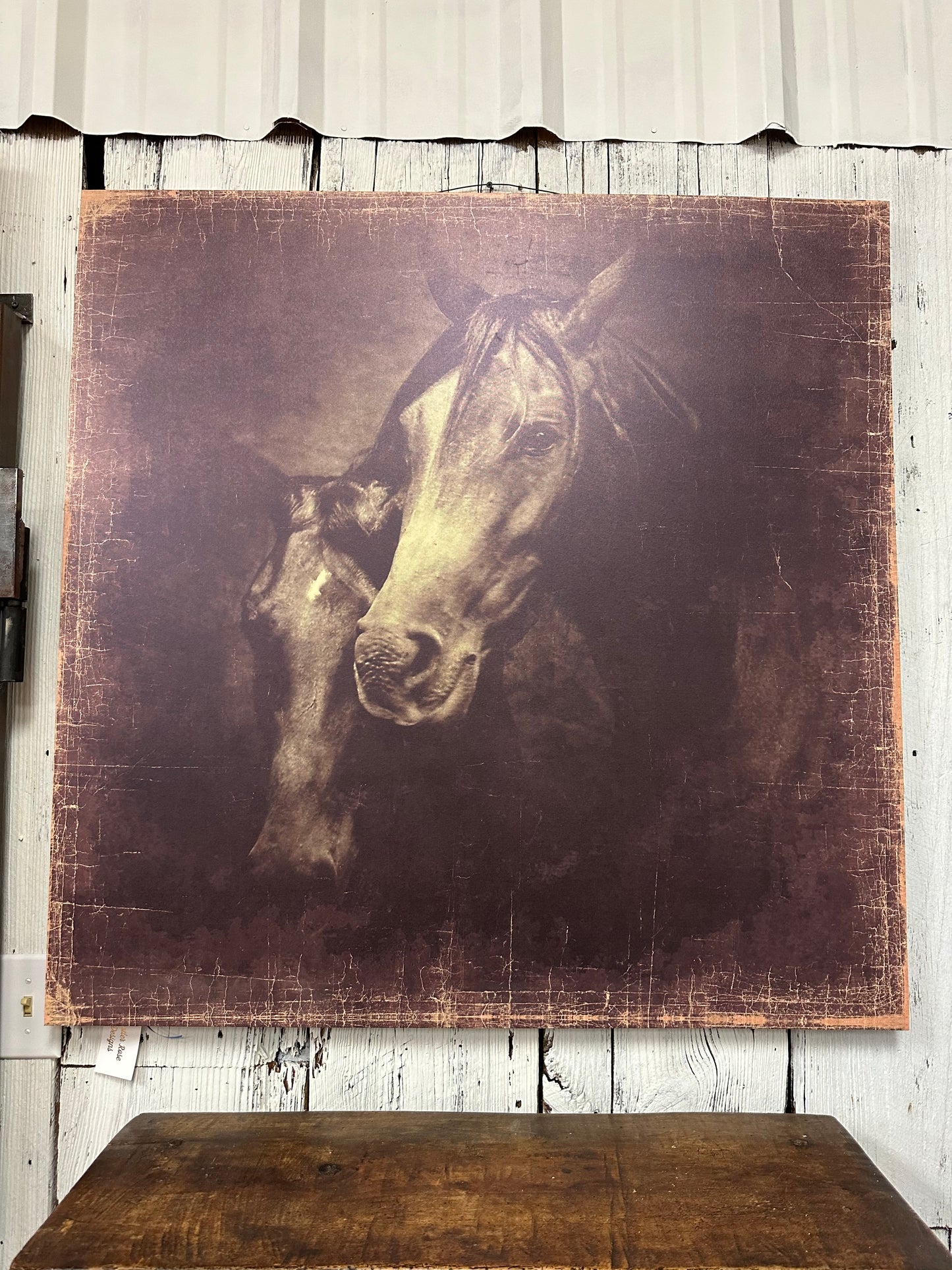 Canvas Horse Print