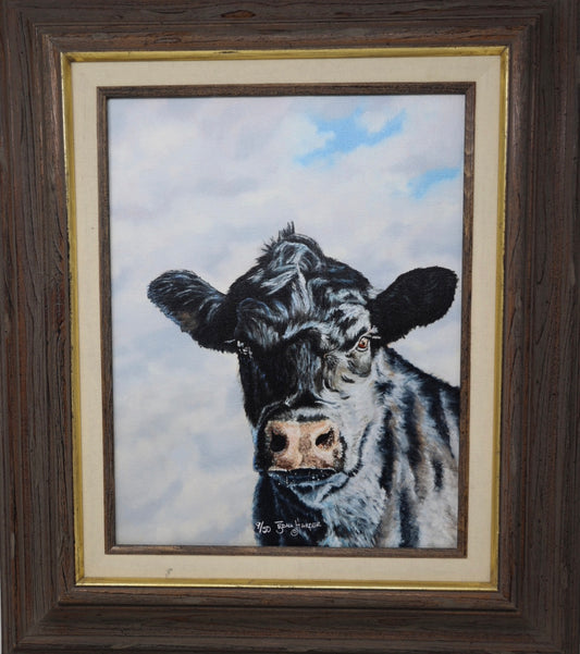 Angus Cow painting by Edna Harper