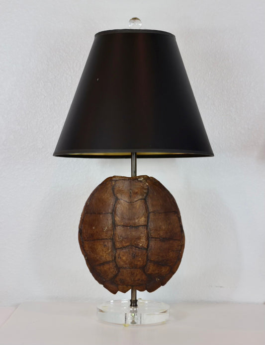 Turtle Shell Lamp