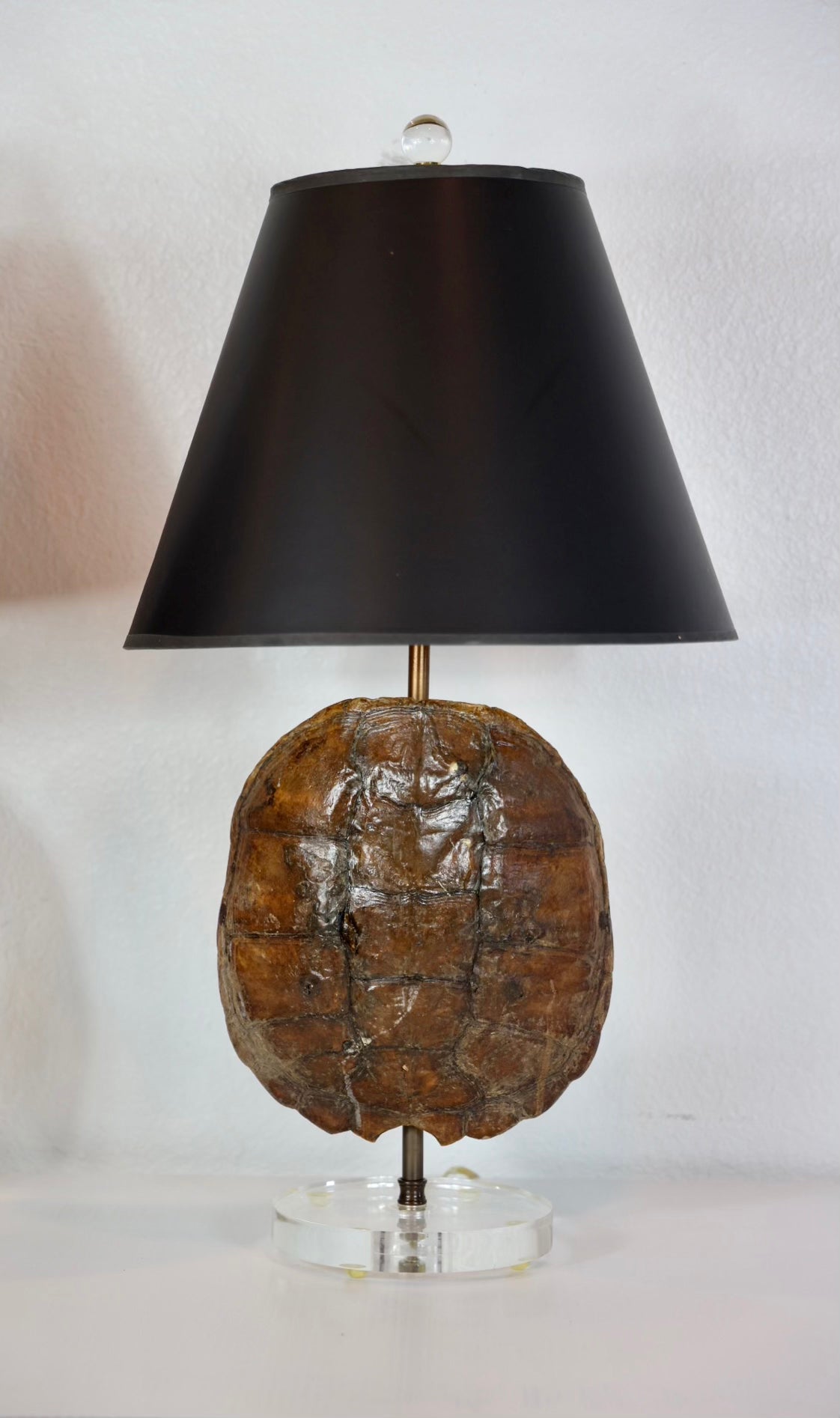 Turtle Shell Lamp