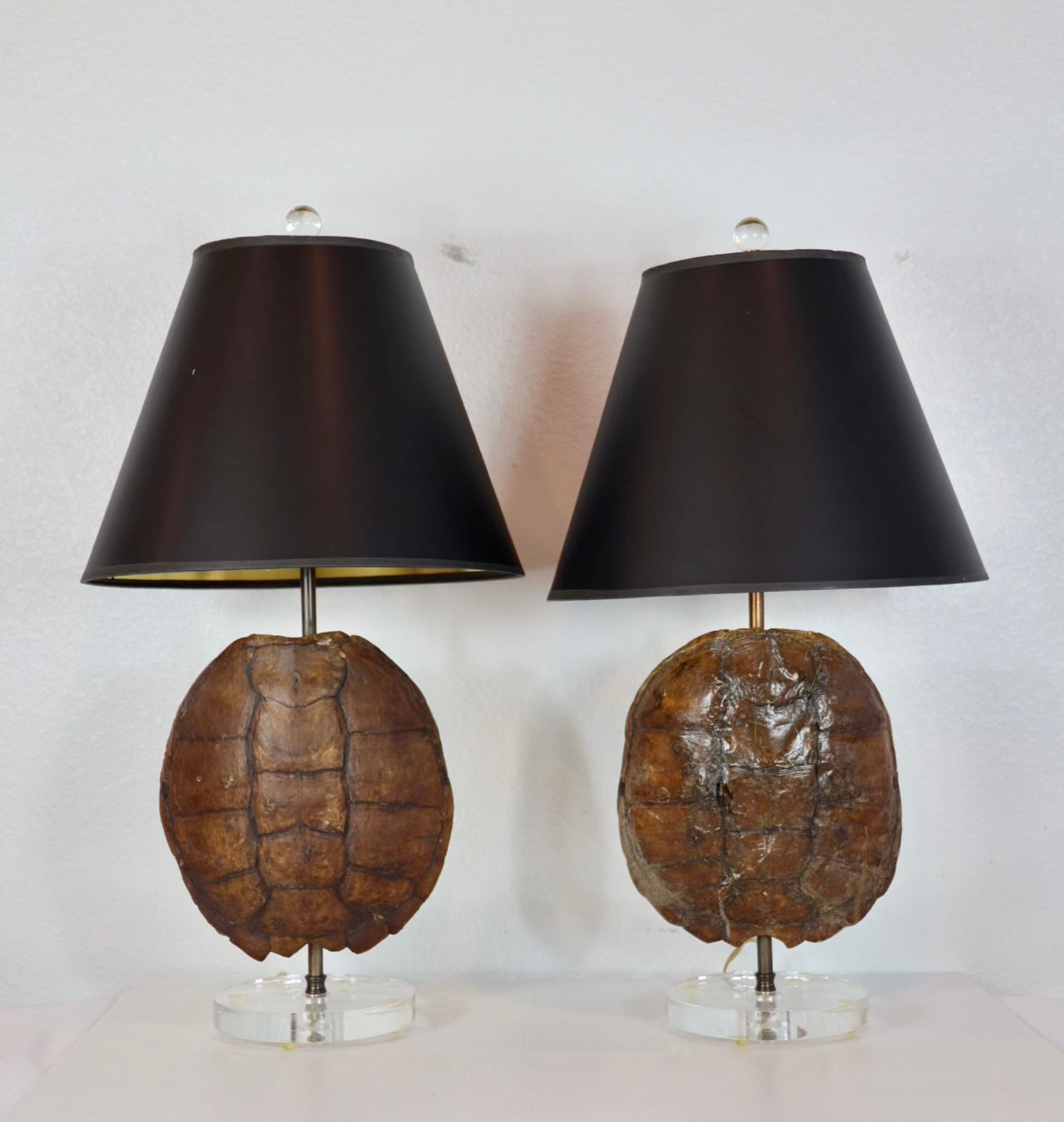 Turtle Shell Lamp